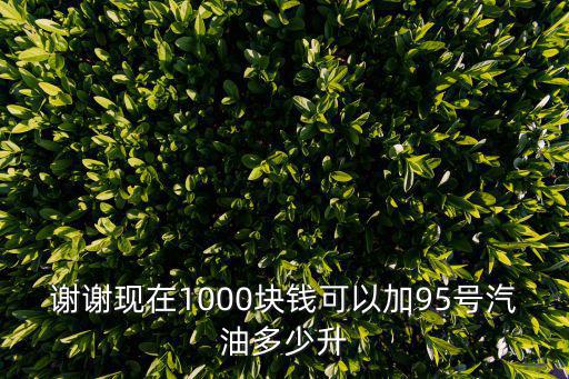 謝謝現在1000塊錢可以加95號汽油多少升