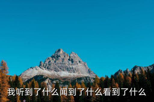我聽到了什么聞到了什么看到了什么