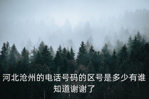 河北滄州的電話號碼的區號是多少有誰知道謝謝了