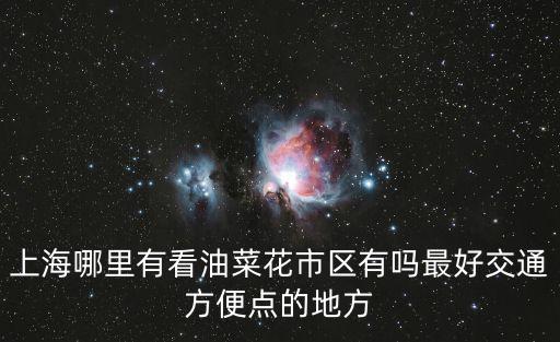 上海哪里有看油菜花市區有嗎最好交通方便點的地方