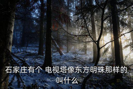 石家莊有個 電視塔像東方明珠那樣的 叫什么