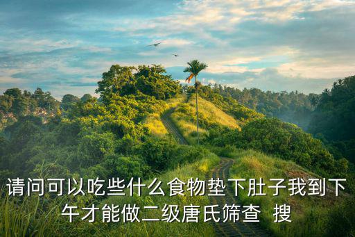 請問可以吃些什么食物墊下肚子我到下午才能做二級唐氏篩查  搜
