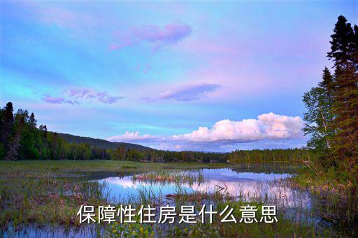 保障房是什么意思，保障房是什么意思