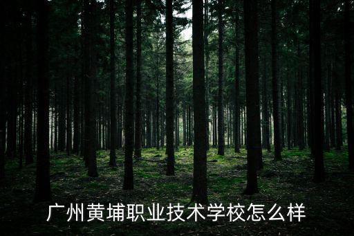 廣州市黃埔職業技術學校，廣州黃埔職業技術學校分數線