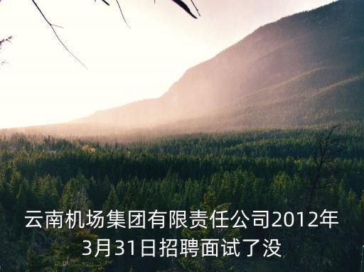 云南機場集團有限責任公司2012年3月31日招聘面試了沒