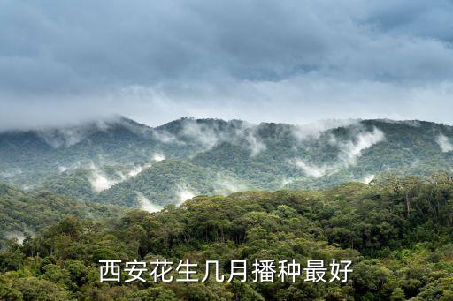 西安花生幾月播種最好