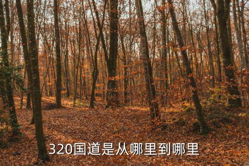 320國(guó)道，320是國(guó)道嗎