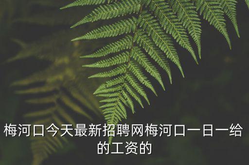 梅河口今天最新招聘網(wǎng)梅河口一日一給的工資的