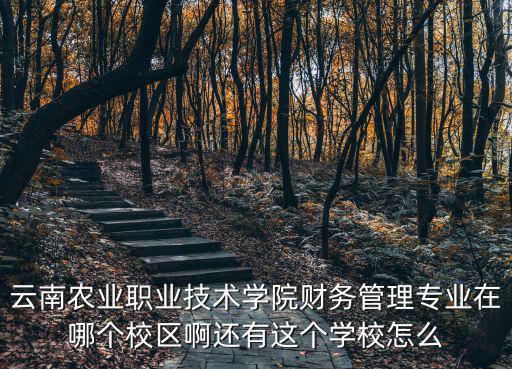 云南農業職業技術學院財務管理專業在哪個校區啊還有這個學校怎么