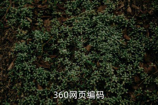 360網頁編碼