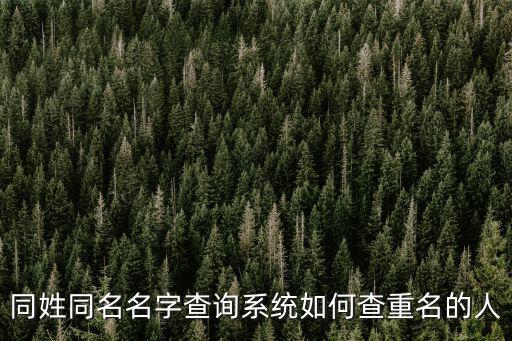 同姓同名名字查詢系統如何查重名的人
