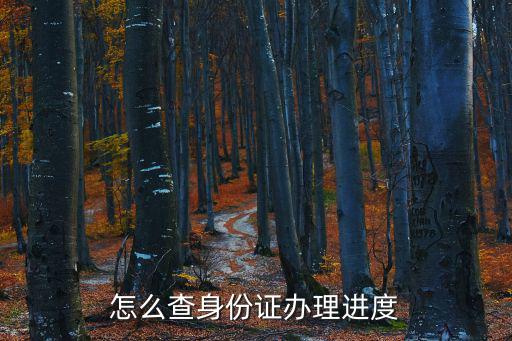 怎么查身份證辦理進(jìn)度