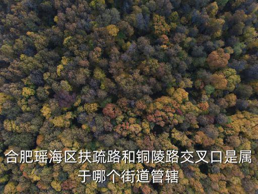 合肥瑤海區(qū)扶疏路和銅陵路交叉口是屬于哪個街道管轄