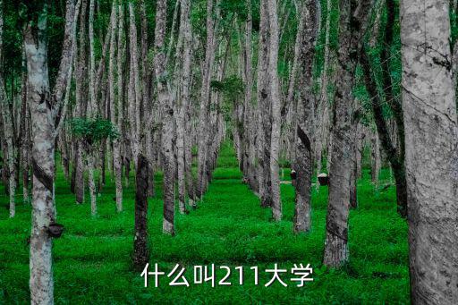 什么是211大學，211大學是什么意思
