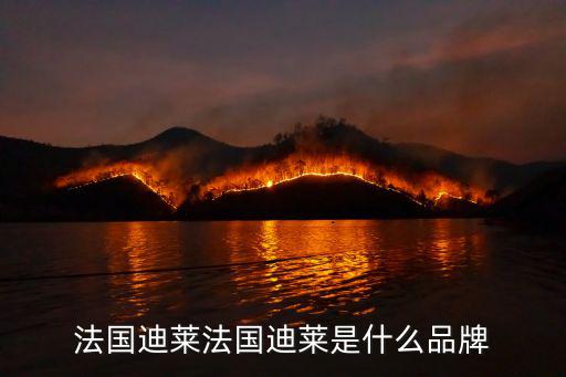 迪萊男裝，法國(guó)迪萊法國(guó)迪萊是什么品牌