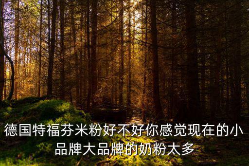 德國(guó)特福芬，德國(guó)原裝進(jìn)口的特福芬有機(jī)嬰兒配方奶粉好嗎哪些家長(zhǎng)給寶寶吃這個(gè)