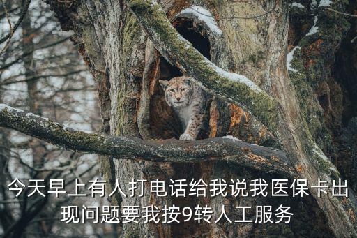 今天早上有人打電話給我說我醫(yī)保卡出現(xiàn)問題要我按9轉(zhuǎn)人工服務(wù)
