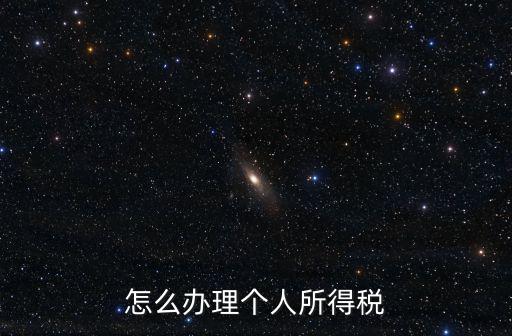 怎么辦理個人所得稅