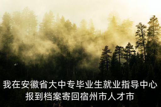 我在安徽省大中專畢業生就業指導中心報到檔案寄回宿州市人才市