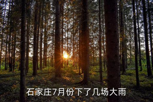 石家莊大雨，最近石家莊會下暴雨嗎