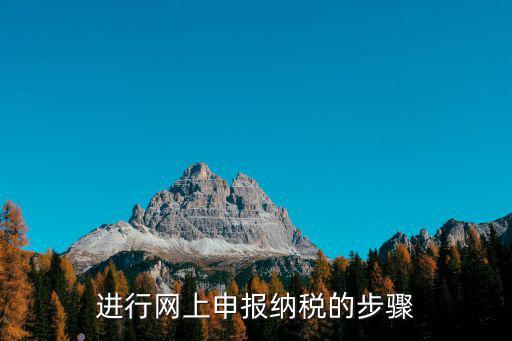 進行網上申報納稅的步驟