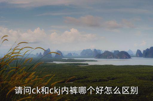 請問ck和ckj內(nèi)褲哪個好怎么區(qū)別