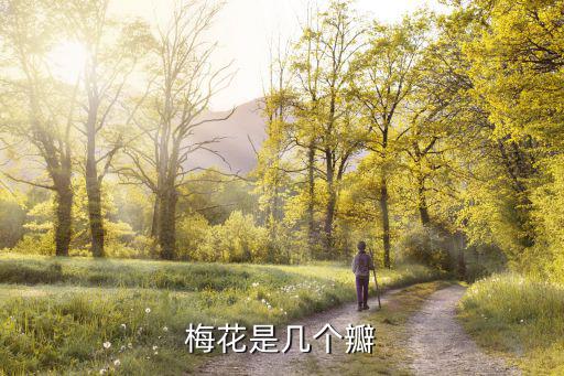 梅花有幾片花瓣，梅花是幾個(gè)瓣