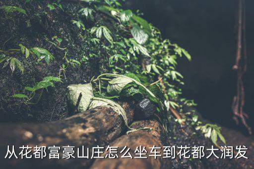 從花都富豪山莊怎么坐車到花都大潤發(fā)