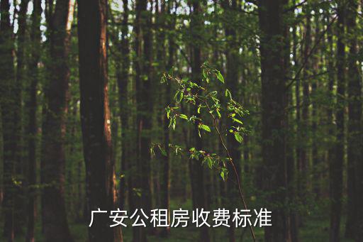 公租房價格，武漢公租房租金的收費標準