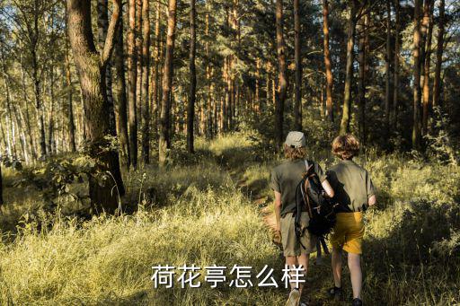 荷花亭怎么樣