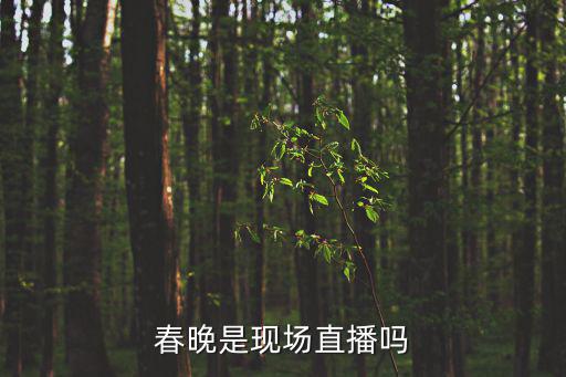 春晚是現場直播嗎