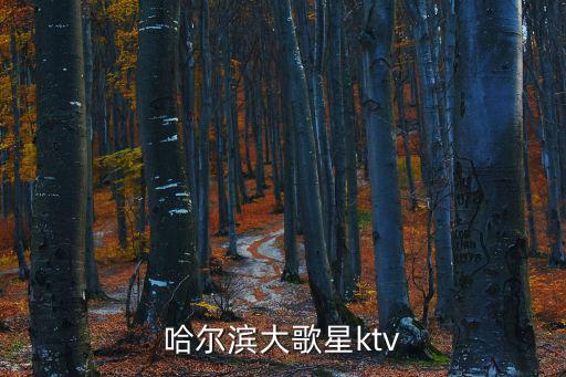 大歌星ktv，成都大歌星量販KTV