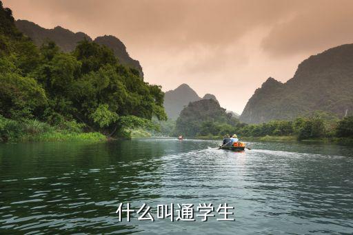 什么叫通學生