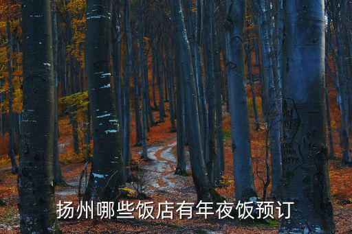 揚州哪些飯店有年夜飯預訂