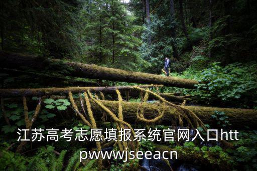 江蘇高考志愿填報系統官網入口httpwwwjseeacn