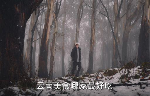云南美食哪家最好吃