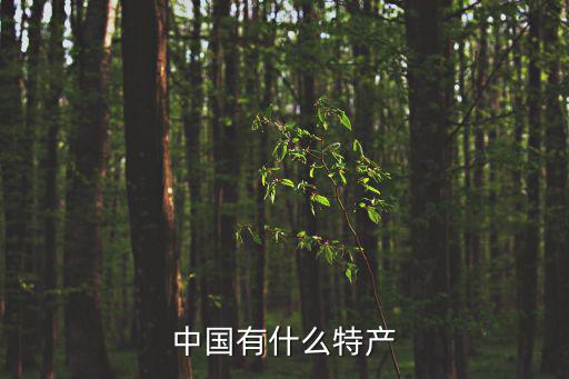 中國有什么特產