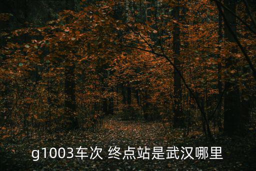 g1003車次 終點站是武漢哪里