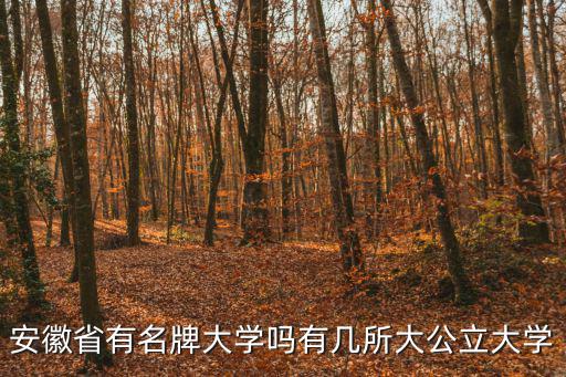 安徽省有名牌大學嗎有幾所大公立大學