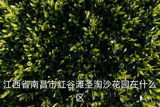 江西省南昌市紅谷灘圣淘沙花園在什么區(qū)