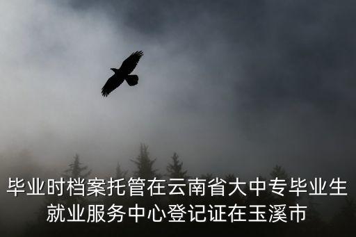畢業(yè)時檔案托管在云南省大中專畢業(yè)生就業(yè)服務(wù)中心登記證在玉溪市