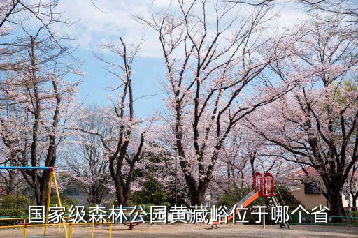 皇藏峪國(guó)家森林公園，國(guó)家森林公園皇藏峪1
