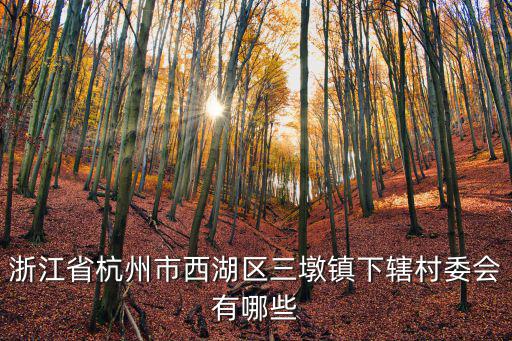 三墩鎮(zhèn)，三墩鎮(zhèn)是屬于杭州哪個區(qū)