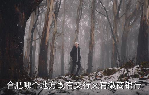 合肥哪個地方既有交行又有徽商銀行