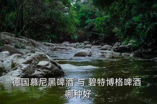 德國慕尼黑啤酒 與 碧特博格啤酒 哪種好
