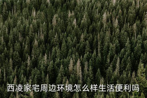 西凌，西凌家宅周邊環境怎么樣生活便利嗎