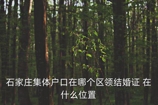 石家莊集體戶口在哪個區領結婚證 在什么位置