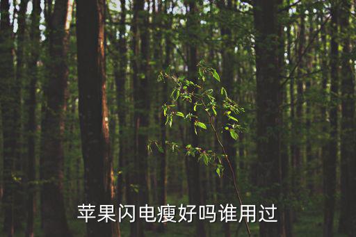 蘋果閃電瘦好嗎誰用過