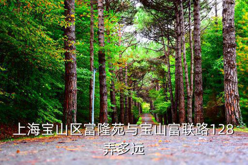 上海寶山區富隆苑與寶山富聯路128弄多遠