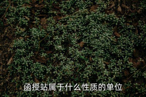 函授站，函授站屬于什么性質的單位